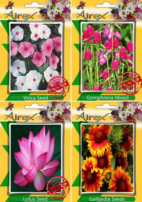 

Airex Vinca,Gomphrena Mixed,Lotus and Gaillardia Seed(20 per packet)