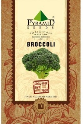 

Pyramid Seeds Broccoli Seed(50 Per Packet)