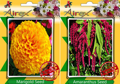 

Airex Marigold, Amaranthus Seed(15 per packet)