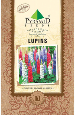 

PYRAMID SEEDS Lupins Seed(50 per packet)