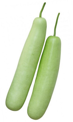 

Real Seed Bottle Gourd F1 Hybrid Imported Vegetable Seeds Seed(10 Per Packet)