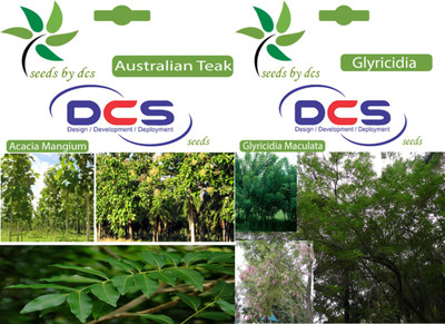 

DCS Australian Teak & Gyricidia Seed(2 per packet)
