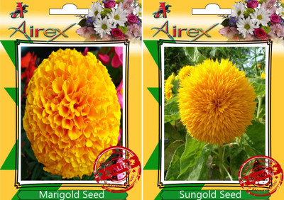 

Airex Marigold, Sungold Seed(15 per packet)