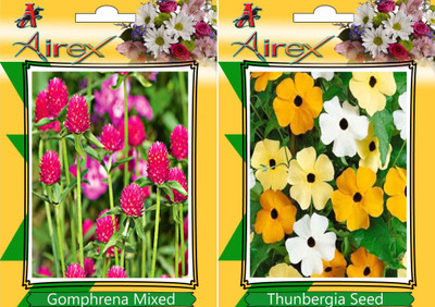

Airex Gomphrena Mixed, Thunbergia Seed(20 per packet)
