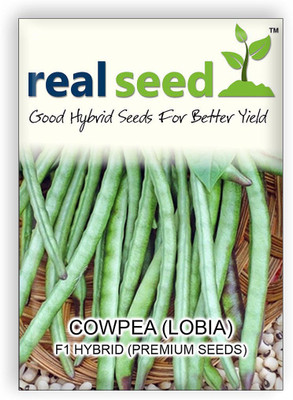 

Real Seed Cowpea (Lobia) Seed(60 per packet)