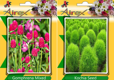 

Airex Gomphrena Mixed, Kochia Seed(15 per packet)