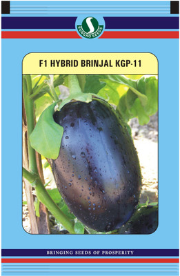 

Sungro Seeds Limited Sungro Hybrid Brinjal Round Seeds (Pack of two) Seed(50 per packet)