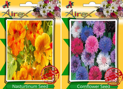 Airex Nasturtium Mixed, Cornflower Seed(25 per packet)