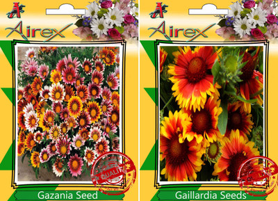

Airex Gazania, Gaillardia Seed(15 per packet)