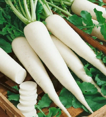 

Ecoware Radish Seed(75 per packet)