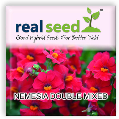 

Real Seed Nemesia Seed(70 per packet)