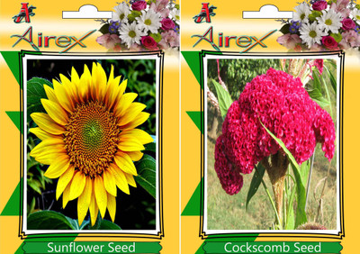 

Airex Sunflower, Cockscomb Seed(15 per packet)