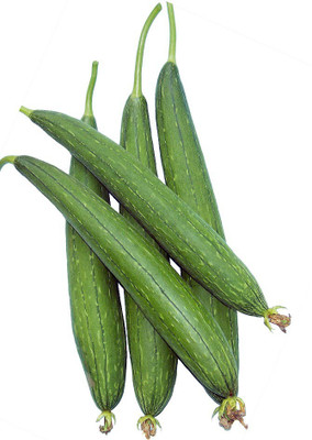 

Real Seed Sponge Gourd F1 Hybrid Seed(10 per packet)