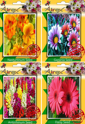 

Airex Nasturtium Mixed, Gazania, Antirrhinum, Daisy Seed(30 per packet)