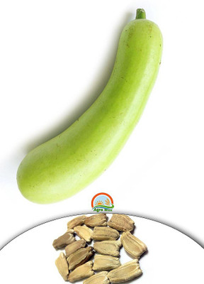 Agro Max Bottle Gourd Seed(20 per packet)