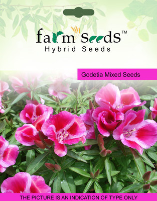 

FARM SEEDS Godetia Mixed Seed(100 per packet)