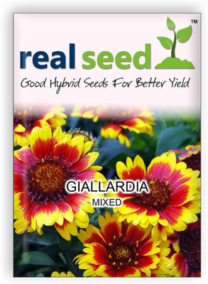 

Real Seed Giallardia Flower Seed(50 per packet)