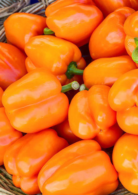 

Real Seed Orange Capsicum F1 Hybrid Imported Vegetable Seeds Seed(10 per packet)