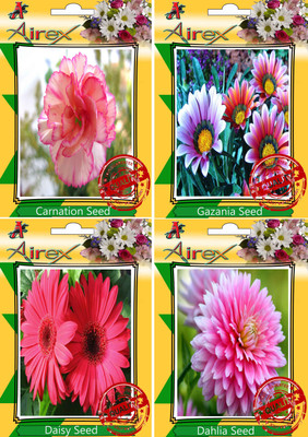 

Airex Carnation, Gazania, Dahlia, Daisy Seed(30 per packet)