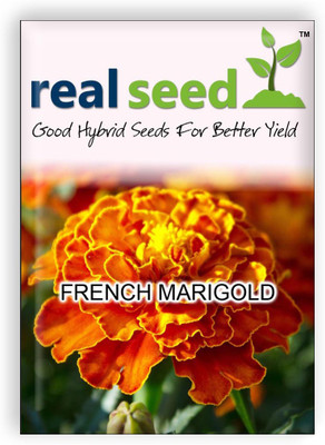 

Real Seed French Marigold Flower Seed(20 Per Packet)