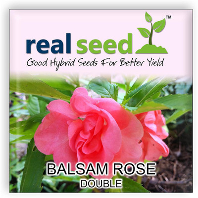 Real Seed Rose Seed(20 per packet)