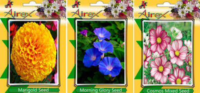 

Airex Marigold,Morning Glory and Cosmos Mixed Seed(25 per packet)