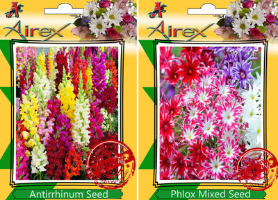 Airex Antirrhinum, Phlox Mixed Seed(25 per packet)