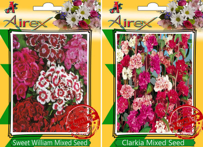 Airex Sweet William Mixed, Clarkia Mixed Seed(30 per packet)