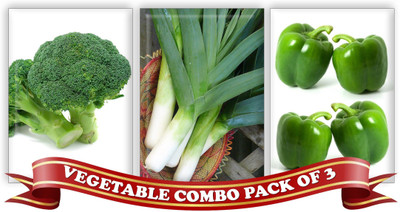 

Real Seed Vegetable Combo Pack - Broccoli Green, Leek, Green Capsicum F1 Hybrid Imported Seeds Seed(3 per packet)