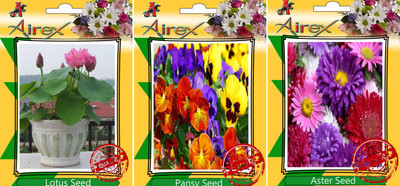 

Airex Lotus, Pansy, Aster Seed(20 per packet)