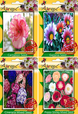 Airex Carnation, Gazania, Cineraria Mixed, Poppy Shirley Mixed Seed(30 per packet)