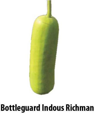 

Indous Agriseeds Bottle Gourd Seed(300 per packet)