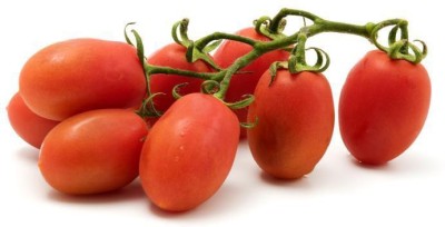 NATIONAL GARDENS Tomato Seed(50 per packet)