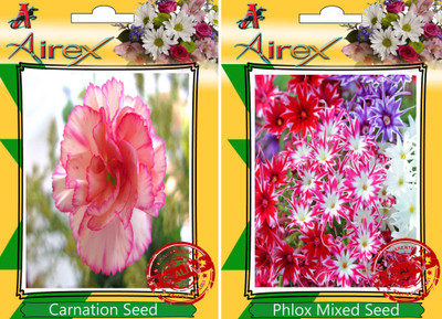 Airex Carnation, Phlox Mixed Seed(25 per packet)