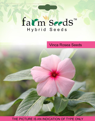 

FARM SEEDS Rose Seed(100 per packet)