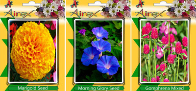 

Airex Marigold,Morning Glory and Gomphrena Mixed Seed(25 per packet)