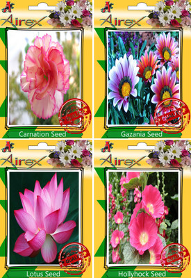

Airex Carnation, Gazania, Lotus, Hollyhock Seed(20 per packet)