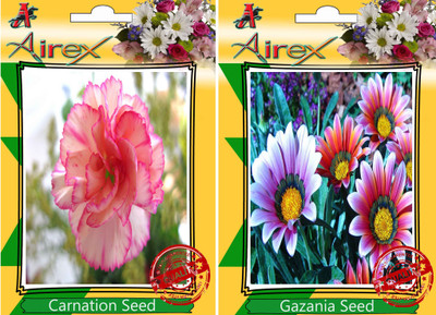 

Airex Carnation, Gazania Seed(25 per packet)