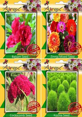 

Airex Balsam,Zinnia Mixed,Cockscomb and Kochia Seed(15 per packet)