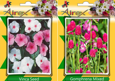 

Airex Vinca and Gomphrena Mixed Seed(15 per packet)