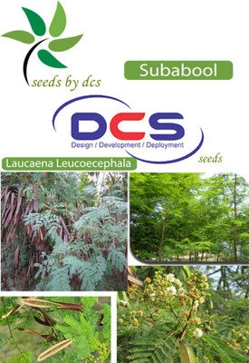 

DCS Subabool Seed(20 per packet)