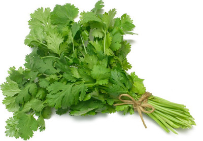 

Amir Enterprises Cilantro Seed(20 Per Packet)