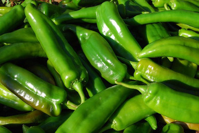 70% OFF on Eplant Chillies Seed(20 per packet) 70% OFF on Eplant Chillies Seed(20 per packet)