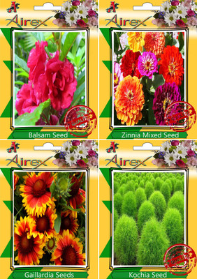 

Airex Balsam,Zinnia Mixed,Gaillardia and Kochia Seed(20 per packet)