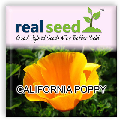 

Real Seed Poppy Seed(60 Per Packet)