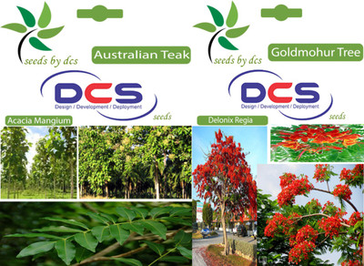 

DCS Australian Teak & Goldmohur Tree Seeds Seed(2 per packet)