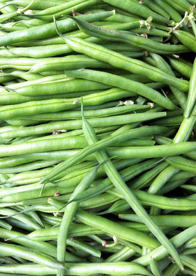 

Real Seed France Bean Seed(10 per packet)