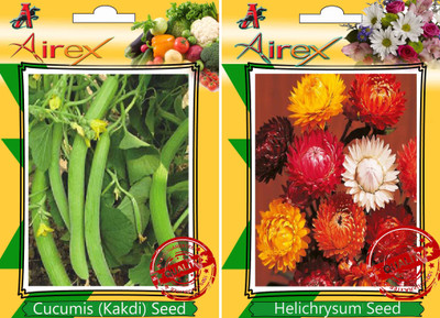 Airex Cucumis (Kakdi), Helichrysum Seed(15 per packet)