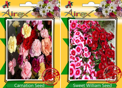 

Airex Carnation, sweet William Seed(15 per packet)