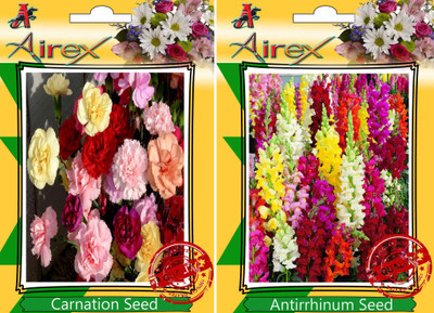 

Airex Carnation, Antirrhinum Seed(20 per packet)